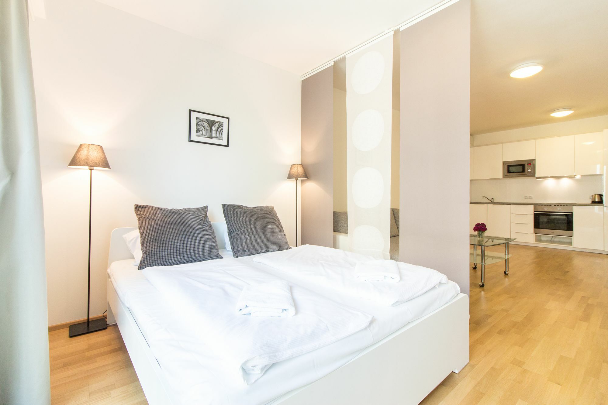New Modern With Zizkov Parking Apartment Prague